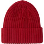 DC FISH N DESTROY 2 BEANIE CHILI PEPPER - Image 2