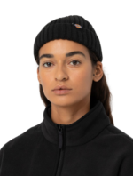 DICKIES GARNETT FISHERMAN BEANIE BLACK - Image 5