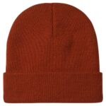 DICKIES GIBSLAND BEANIE GINGERBREAD - Image 2
