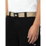 DICKIES ORCUTT BELT KHAKI - Image 3