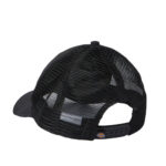 DICKIES SUMITON TRUCKER CAP BLACK - Image 2