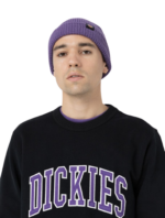 DICKIES WOODWORTH WAFFLE BEANIE IMPERIAL PALAST - Image 4