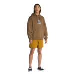 VANS PSYCH SKATE CLASSICS HOODIE SEPIA - Image 4
