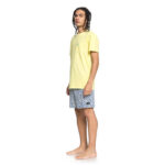 DC ALL SEASON BEACHSHORT SODALITE BLUE - Image 4