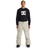 DC CODE SNOWBOARD PANT PLAZA TAUPE - Image 6