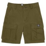 DC BOYS TUNDRA CARGO SHORT IVY GREEN