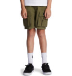 DC BOYS TUNDRA CARGO SHORT IVY GREEN - Image 3
