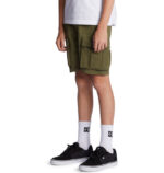 DC BOYS TUNDRA CARGO SHORT IVY GREEN - Image 5