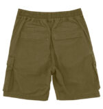 DC BOYS TUNDRA CARGO SHORT IVY GREEN - Image 2