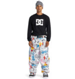 DC X ANDY WARHOL PRIMO SNOW PANT SAINTS AND SINNERS - Image 7