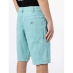 DICKIES DUCK CANVAS SHORT SW PORCELAIN - Image 4