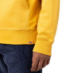 DICKIES LORETTO HOODIE HONEY GOLD - Image 4