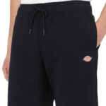 DICKIES MAPLETON SHORT BLACK - Image 3
