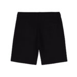 DICKIES MAPLETON SHORT BLACK - Image 6