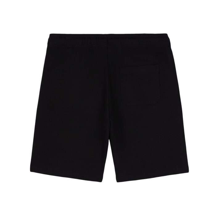 DICKIES MAPLETON SHORT BLACK - Image 6