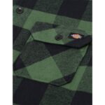 DICKIES NEW SACRAMENTO SHIRT PINE GREEN - Image 4