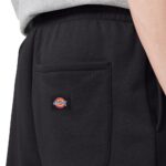 DICKIES UNIONTOWN SWEATPANT BLACK - Image 2