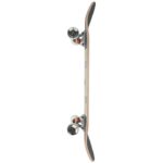 GLOBE G1 DIABLO 2 COMPLETE SKATEBOARD BLACK SILVER 8.0 - Image 3