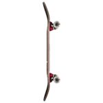 GLOBE G2 PARALLEL COMPLETE SKATEBOARD OFF WHITE FOIL HORIZON 8.0 - Εικόνα 4