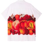 OBEY BOWL SHIRT WHITE MULTI - Image 2