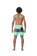 PICTURE ANDY 17 BOARDSHORT BLUE TURQUOISE - Image 9