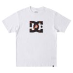DC STAR FILL T-SHIRT WHITE FIRE