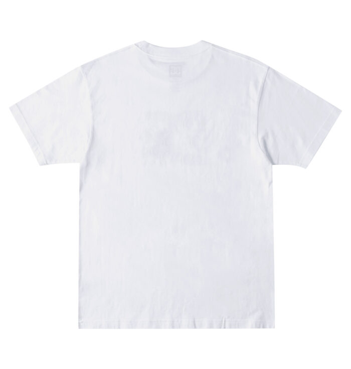 DC STAR FILL T-SHIRT WHITE FIRE - Image 2