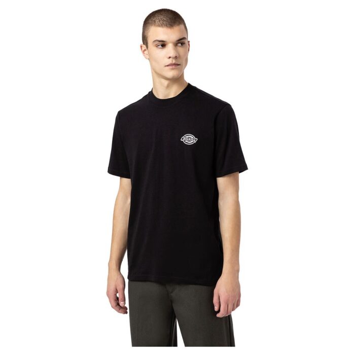 DICKIES HOLTVILLE T-SHIRT BLACK - Image 3