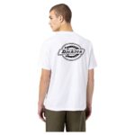 DICKIES HOLTVILLE T-SHIRT WHITE - Image 4
