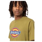 DICKIES ICON LOGO T-SHIRT GREEN MOSS - Image 3