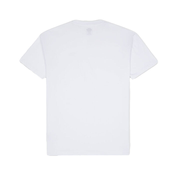 DICKIES MAPLETON T-SHIRT DRESS T-SHIRT WHITE - Image 6