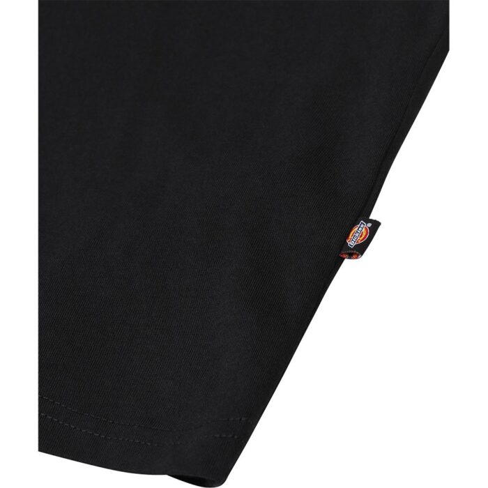 DICKIES MAPLETON T-SHIRT BLACK - Image 3