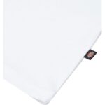 DICKIES MAPLETON T-SHIRT WHITE - Image 2
