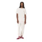 DICKIES MAPLETON T-SHIRT WHITECAP GREY - Image 6