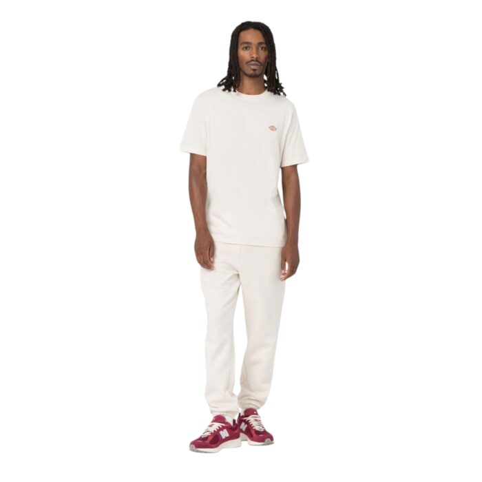 DICKIES MAPLETON T-SHIRT WHITECAP GREY - Image 6