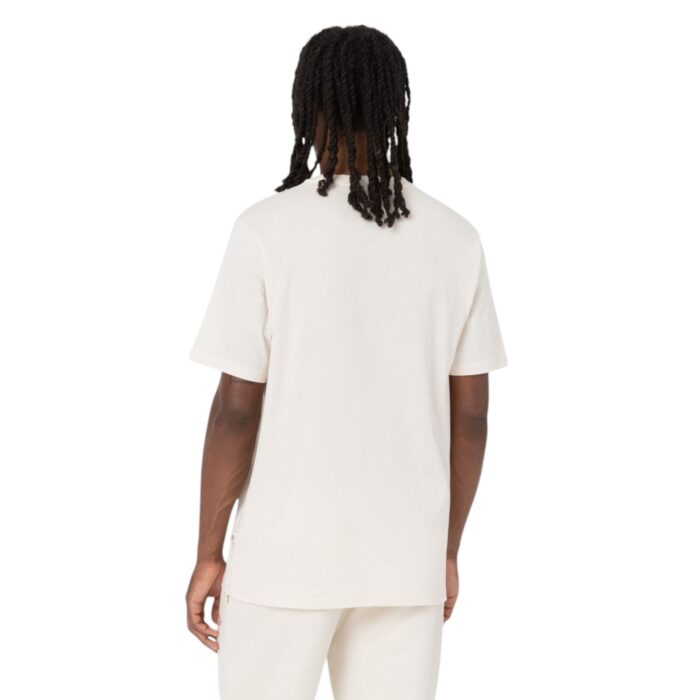 DICKIES MAPLETON T-SHIRT WHITECAP GREY - Image 3