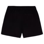 DICKIES MAPLETON WOMEN SHORT BLACK - Image 9