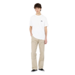 DICKIES SUMMERDALE T-SHIRT WHITE - Image 7