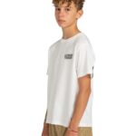 ELEMENT X TIMBER YOUTH JESTER T-SHIRT EGRET - Image 4