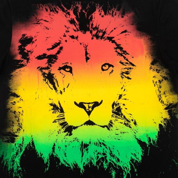 FALLEN RASTA LION T-SHIRT BLACK - Image 3