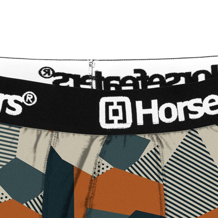 HORSEFEATHERS SIDNEY BOXER SHORT POLYGON - Image 2