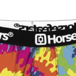 HORSEFEATHERS SIDNEY BOXER TIE DYE - Image 2
