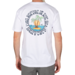 SALTY CREW DOS PALMS PREMIUM T-SHIRT WHITE - Image 2