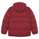 DICKIES WALDENBURG HOODED JACKET FIRED BRICK - Image 2