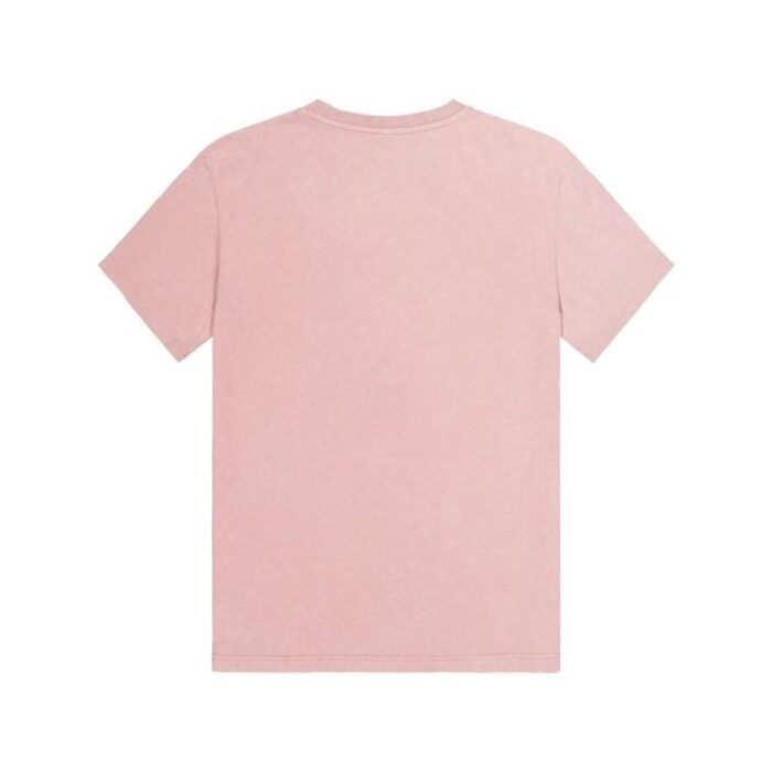 PICTURE WOGONG T-SHIRT WOODROSE - Image 2