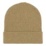 DICKIES GIBSLAND BEANIE IMPERIAL GREEN - Image 2