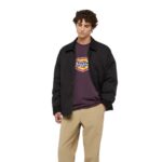 DICKIES ICON LOGO T-SHIRT PLUM PERFECT - Image 3