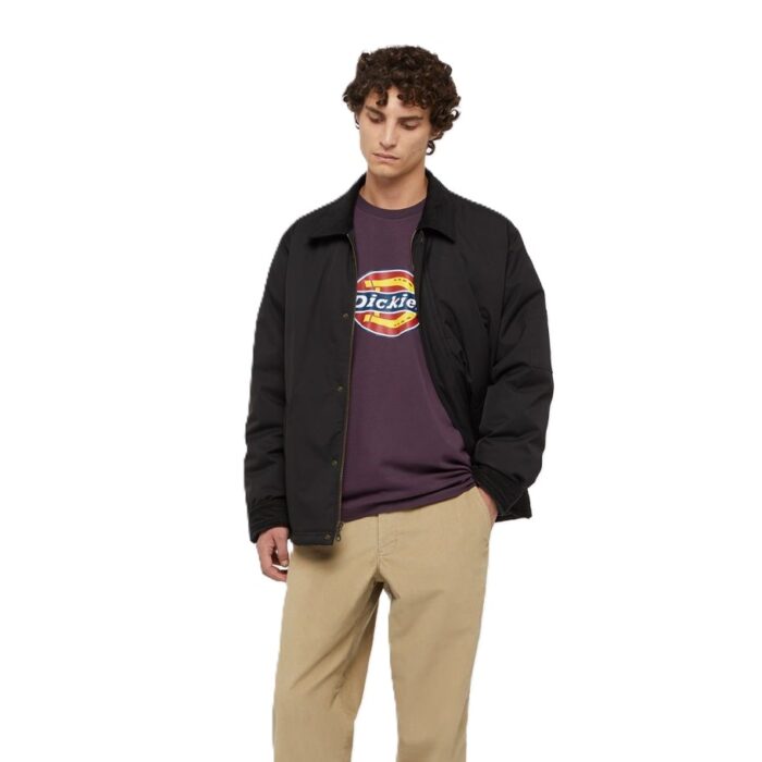 DICKIES ICON LOGO T-SHIRT PLUM PERFECT - Image 3