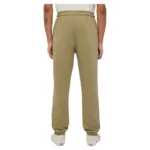 DICKIES MAPLETON SWEATPANT IMPERIAL GREEN - Image 2