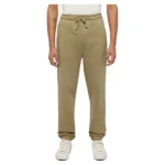 DICKIES MAPLETON SWEATPANT IMPERIAL GREEN